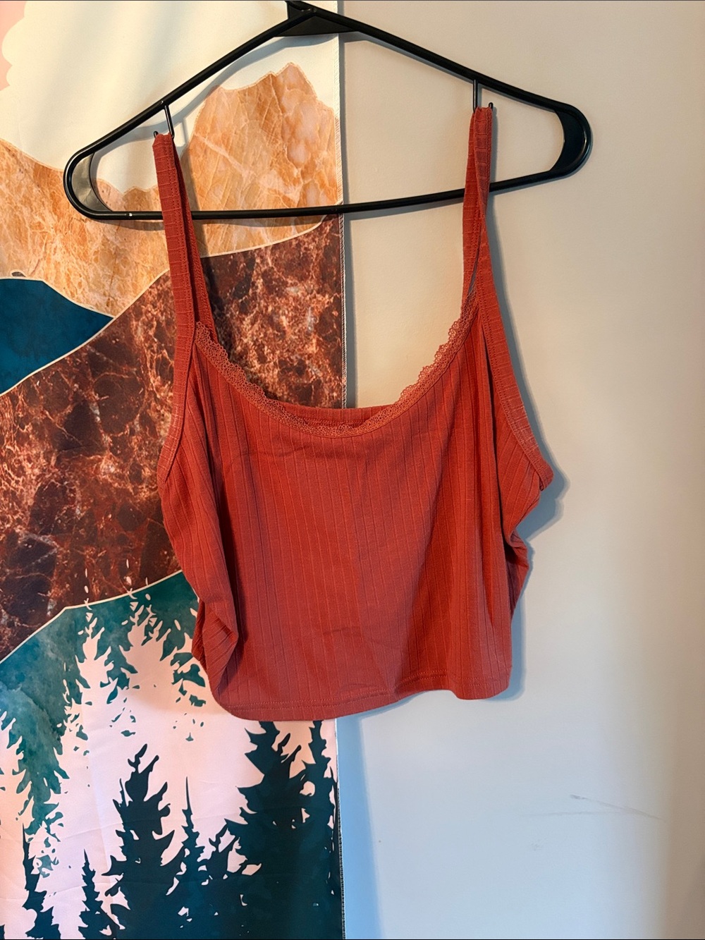 SHEIN Rust Lace-Trim Ribbed Camisole